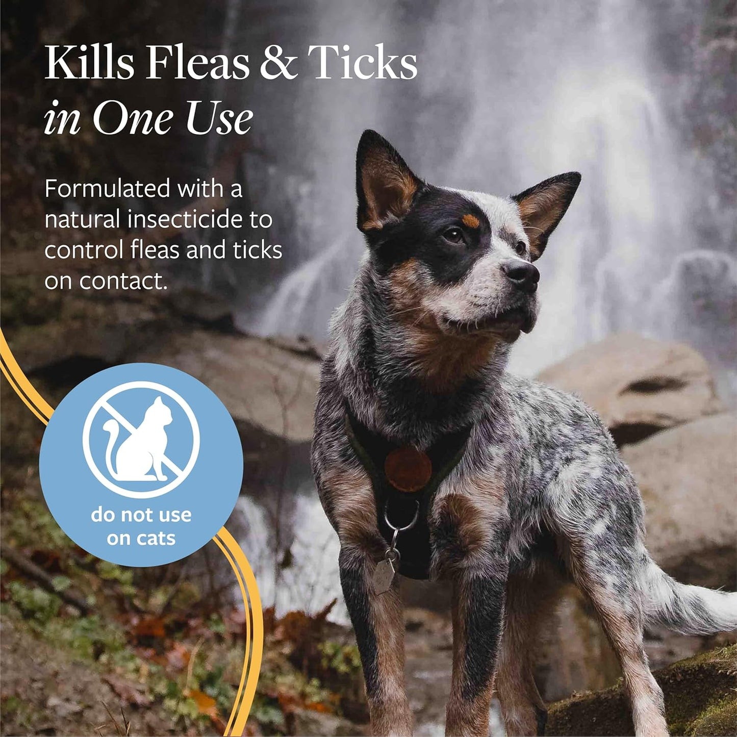 Veterinary Formula Flea and Tick Spray for Dogs, 8 oz