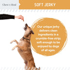Wild Alaskan Omega Skin + Coat Salmon Soft Jerky Dog Treats