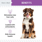 Milk Thistle Tincture with Moringa Oil & Salmon Oil Liquid Kidney & Liver Health Supplement for Dogs