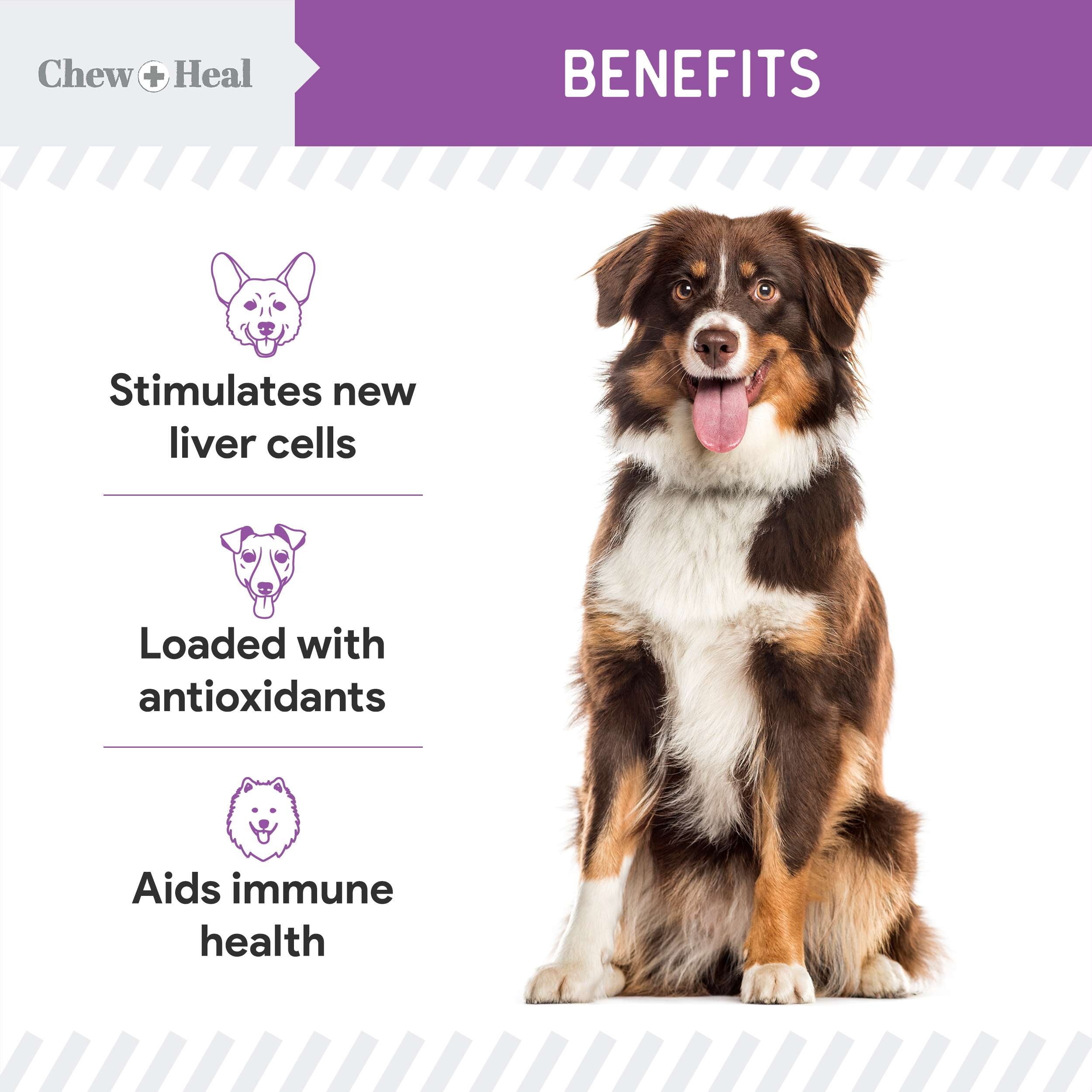 Milk Thistle Tincture with Moringa Oil & Salmon Oil Liquid Kidney & Liver Health Supplement for Dogs