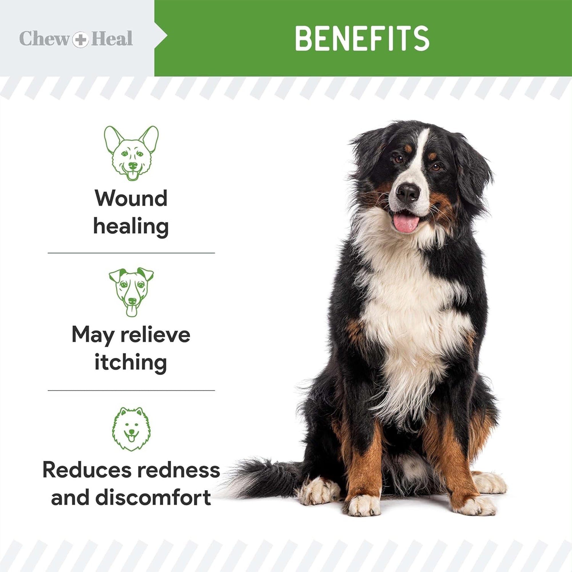 HOCI Healing Aid Spray for Dogs & Cats