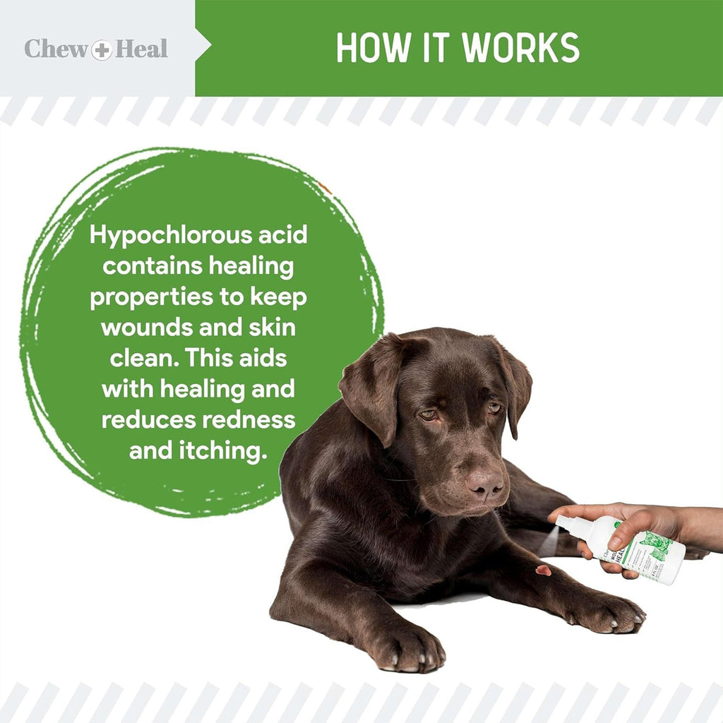 HOCI Healing Aid Spray for Dogs & Cats