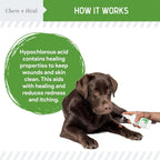HOCI Healing Aid Spray for Dogs & Cats