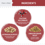 Cranberry Support Urinary Tract Supplement for Dogs