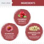 Cranberry Support Urinary Tract Supplement for Dogs