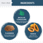 Digestive Enzymes & Probiotics Supplement for Dogs