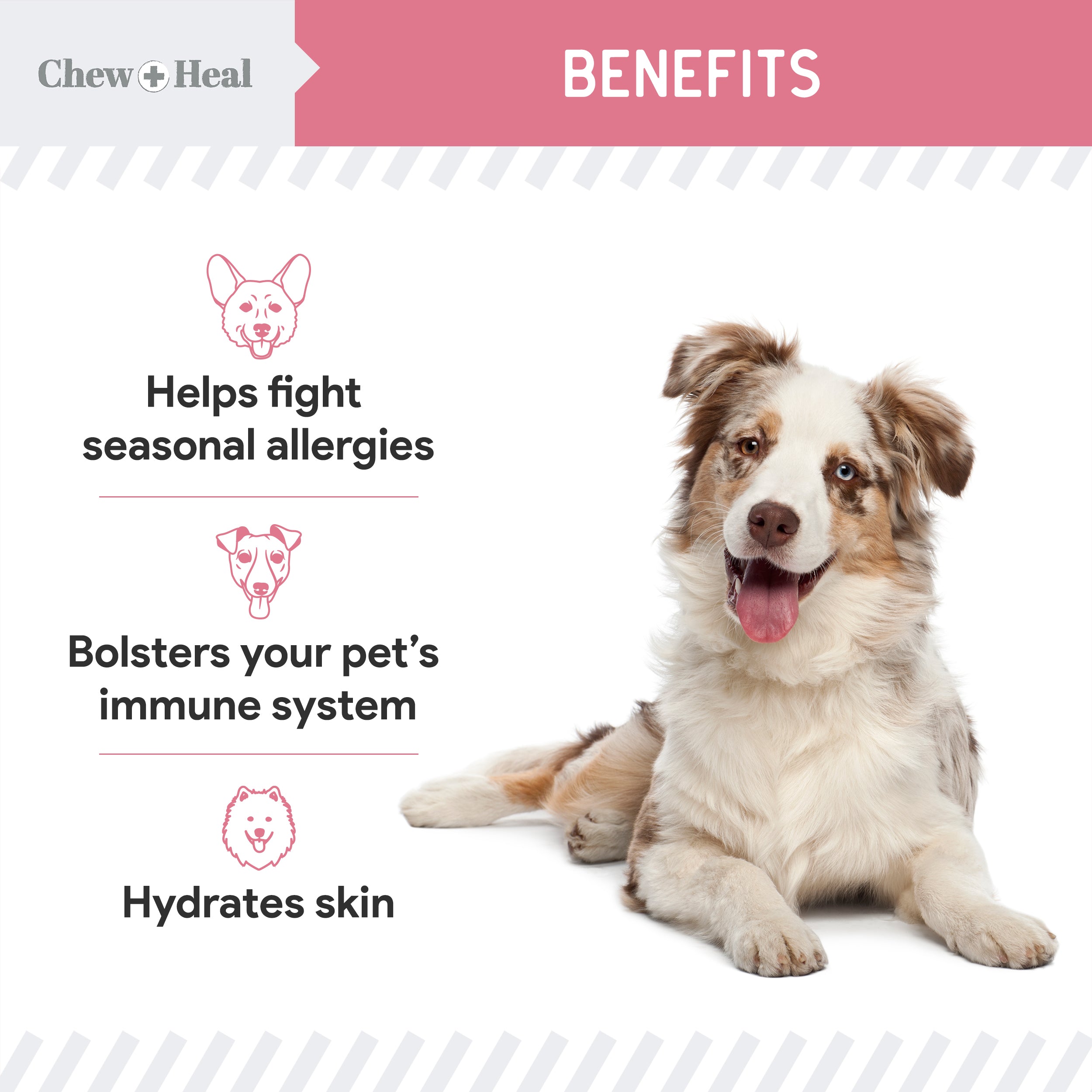Allergy Aid Soft Chew Allergy Supplement for Dogs