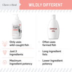 Wild Alaskan Omega Salmon Oil Formula Skin & Coat Liquid Supplement for Dogs