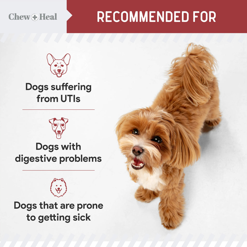 Cranberry Support Urinary Tract Supplement for Dogs