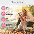 Allergy Aid Soft Chew Allergy Supplement for Dogs