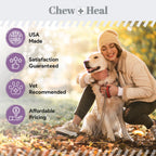 No Chew Dog & Cat Spray
