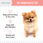 Wild Alaskan Omega Salmon Oil Formula Skin & Coat Liquid Supplement for Dogs