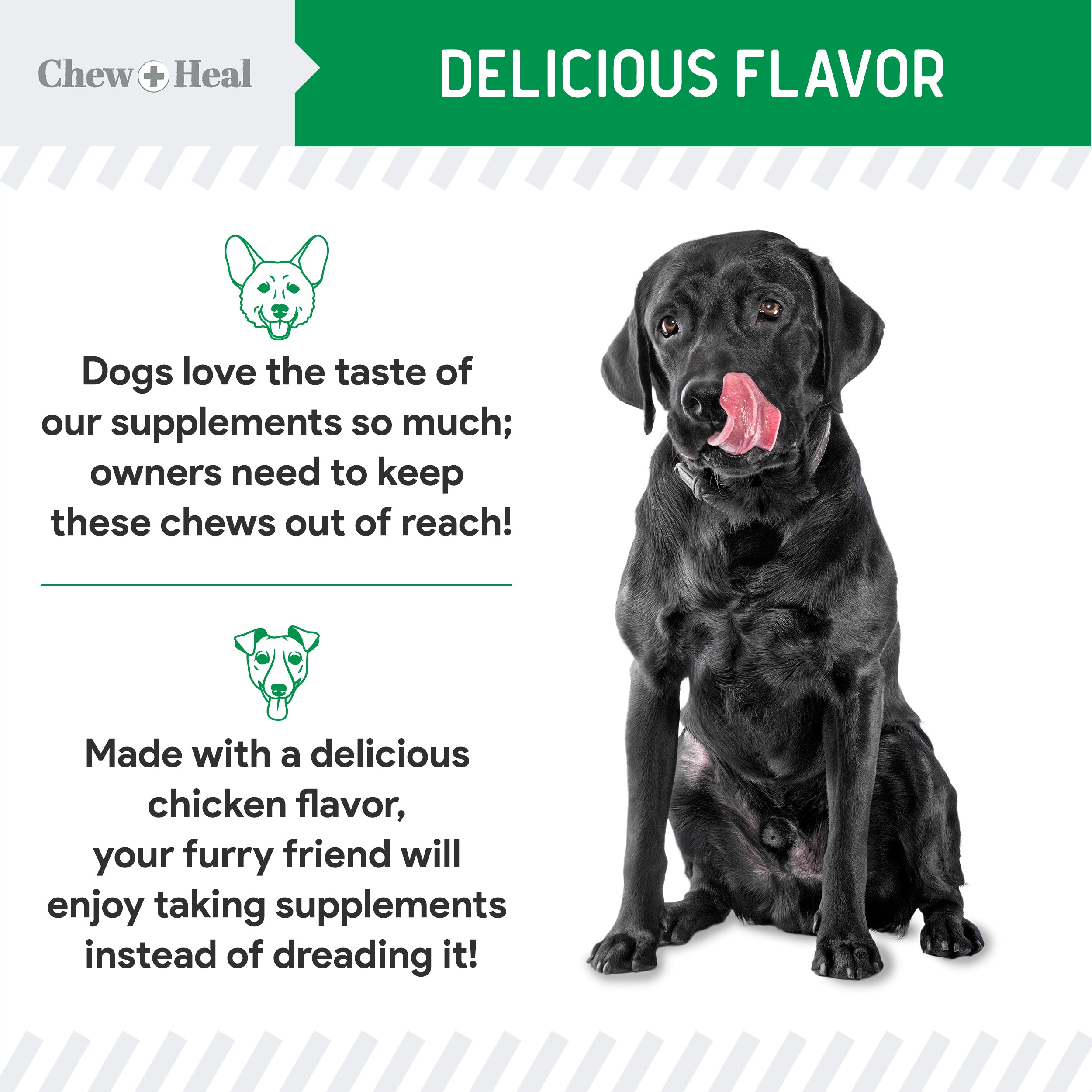 Lawn Saver Soft Chew Lawn Protection Supplement for Dogs