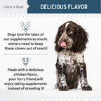 Digestive Enzymes & Probiotics Supplement for Dogs