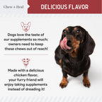 Cranberry Support Urinary Tract Supplement for Dogs