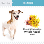 Fresh Scent, Soothing Aloe, Witch Hazel & Tea Tree Oil Dog Ear Cleaner
