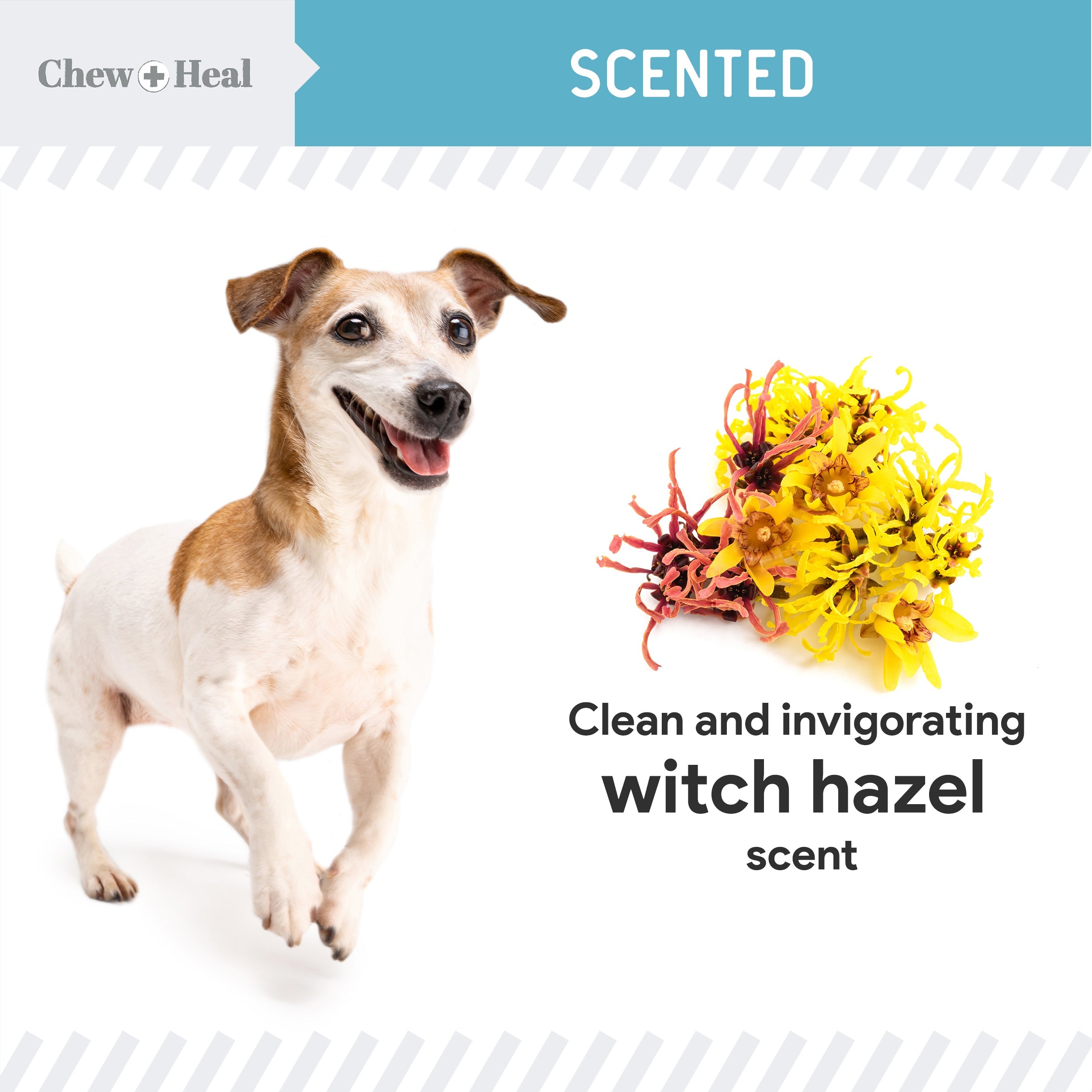 Fresh Scent, Soothing Aloe, Witch Hazel & Tea Tree Oil Dog Ear Cleaner
