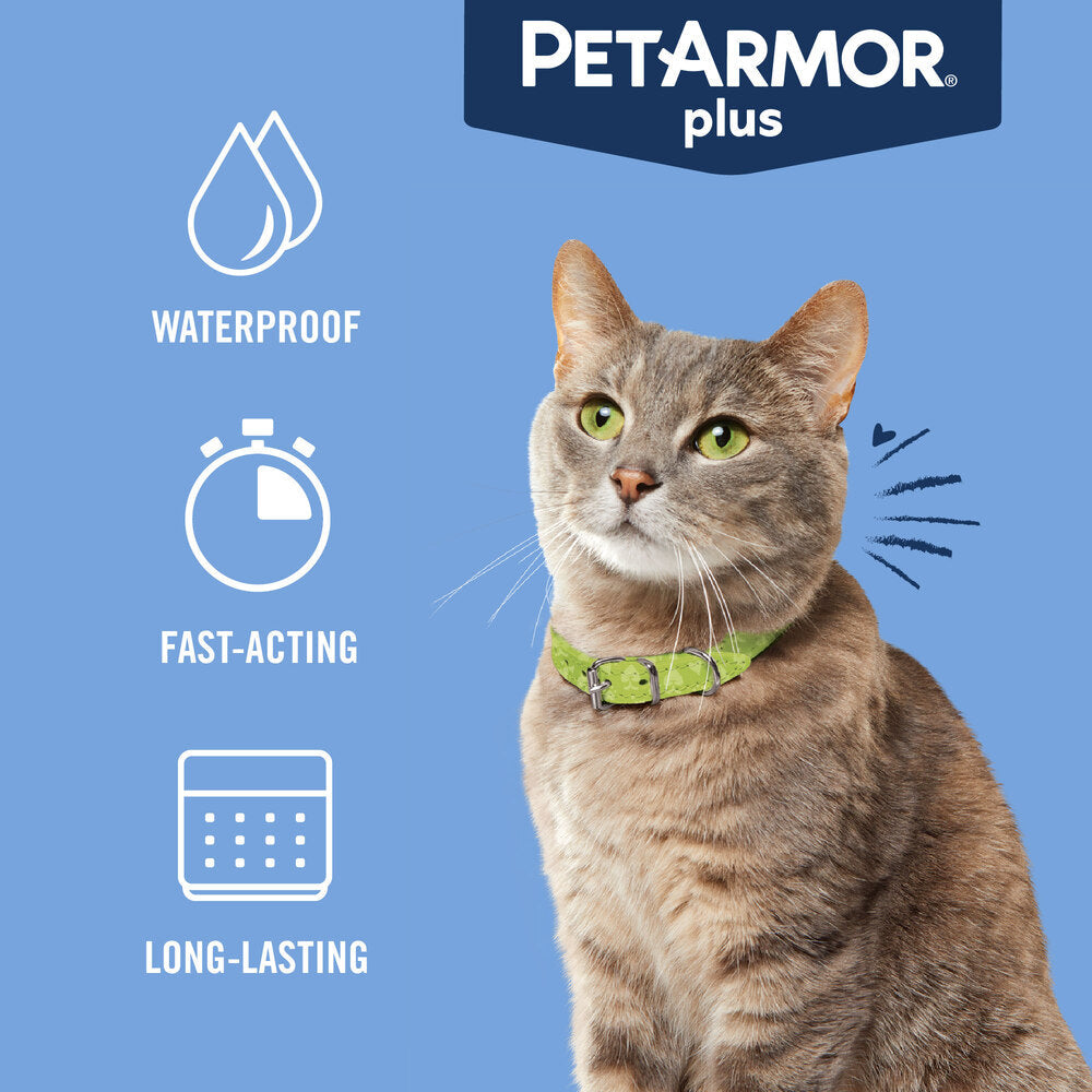 PetArmor Plus Flea & Tick Topical for Cats