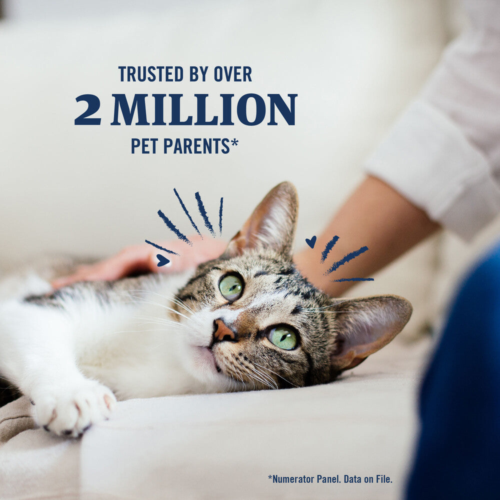 PetArmor Plus Flea & Tick Topical for Cats