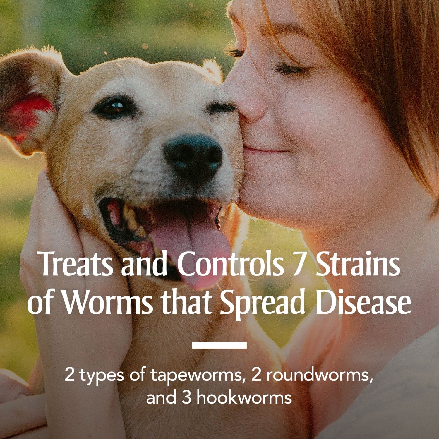 PetArmor 7 Way Dewormer for Dogs
