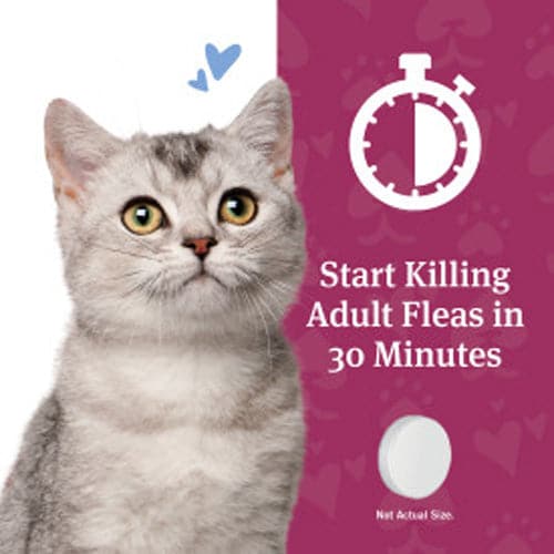 PetArmor CAPACTION Oral Flea Treatment for Cats
