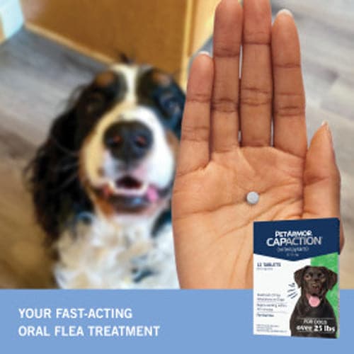 PetArmor CAPACTION Oral Flea Treatment for Dogs