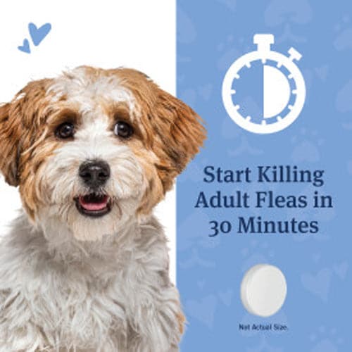PetArmor CAPACTION Oral Flea Treatment for Dogs