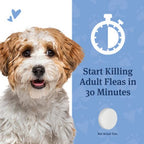 PetArmor CAPACTION Oral Flea Treatment for Dogs