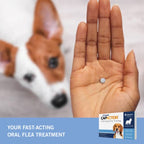 PetArmor CAPACTION Oral Flea Treatment for Dogs