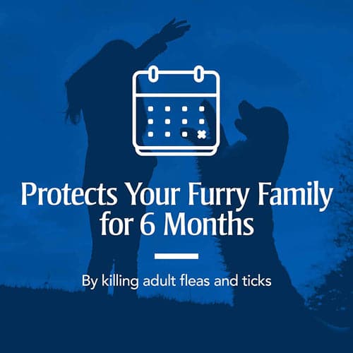 PetArmor Plus Flea & Tick Collar for Dogs