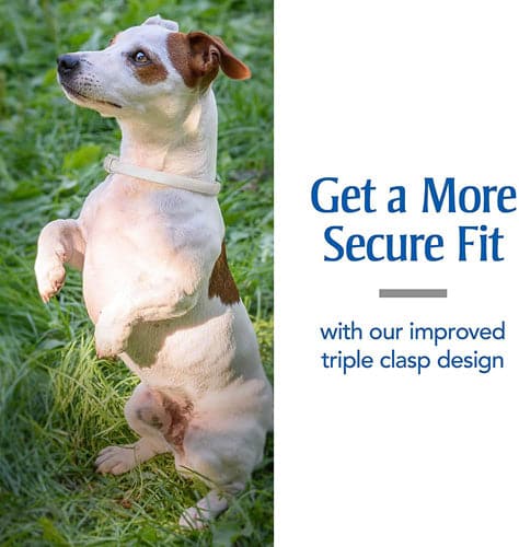 PetArmor Plus Flea & Tick Collar for Dogs