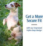 PetArmor Plus Flea & Tick Collar for Dogs
