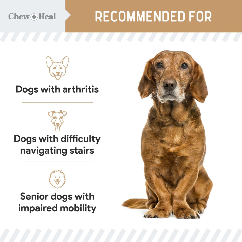 Hip & Joint Mobility Peanut Butter Flavored Soft Chew Senior Dog Supplement