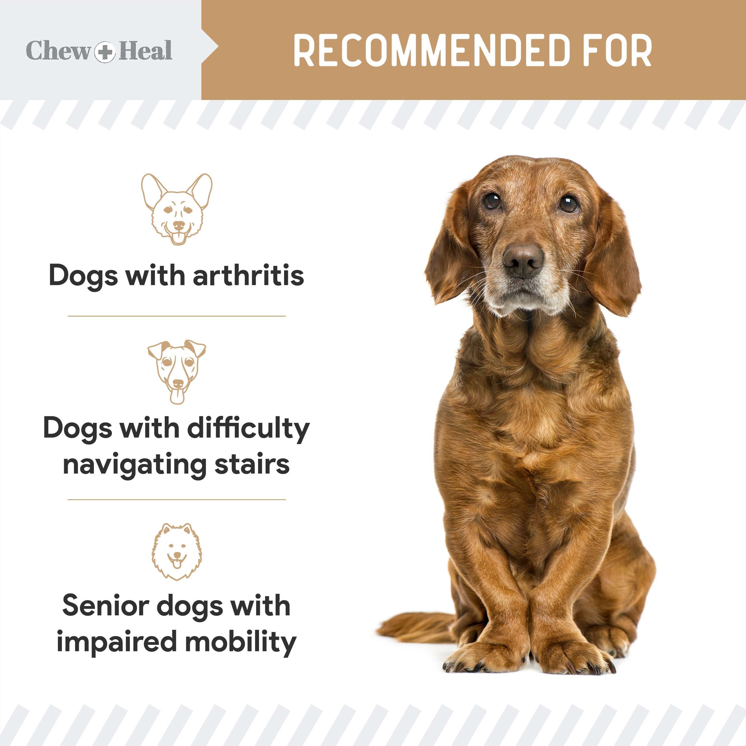 Hip & Joint Mobility Peanut Butter Flavored Soft Chew Senior Dog Supplement