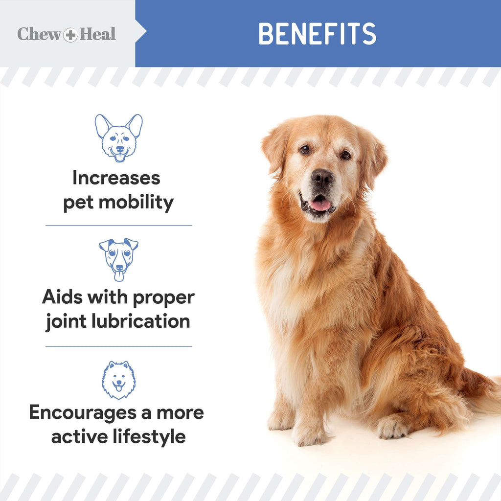 High-Potency Advanced Mobility Support Bacon Flavored Liquid Supplement for Senior Dogs