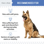 High-Potency Advanced Mobility Support Bacon Flavored Liquid Supplement for Senior Dogs
