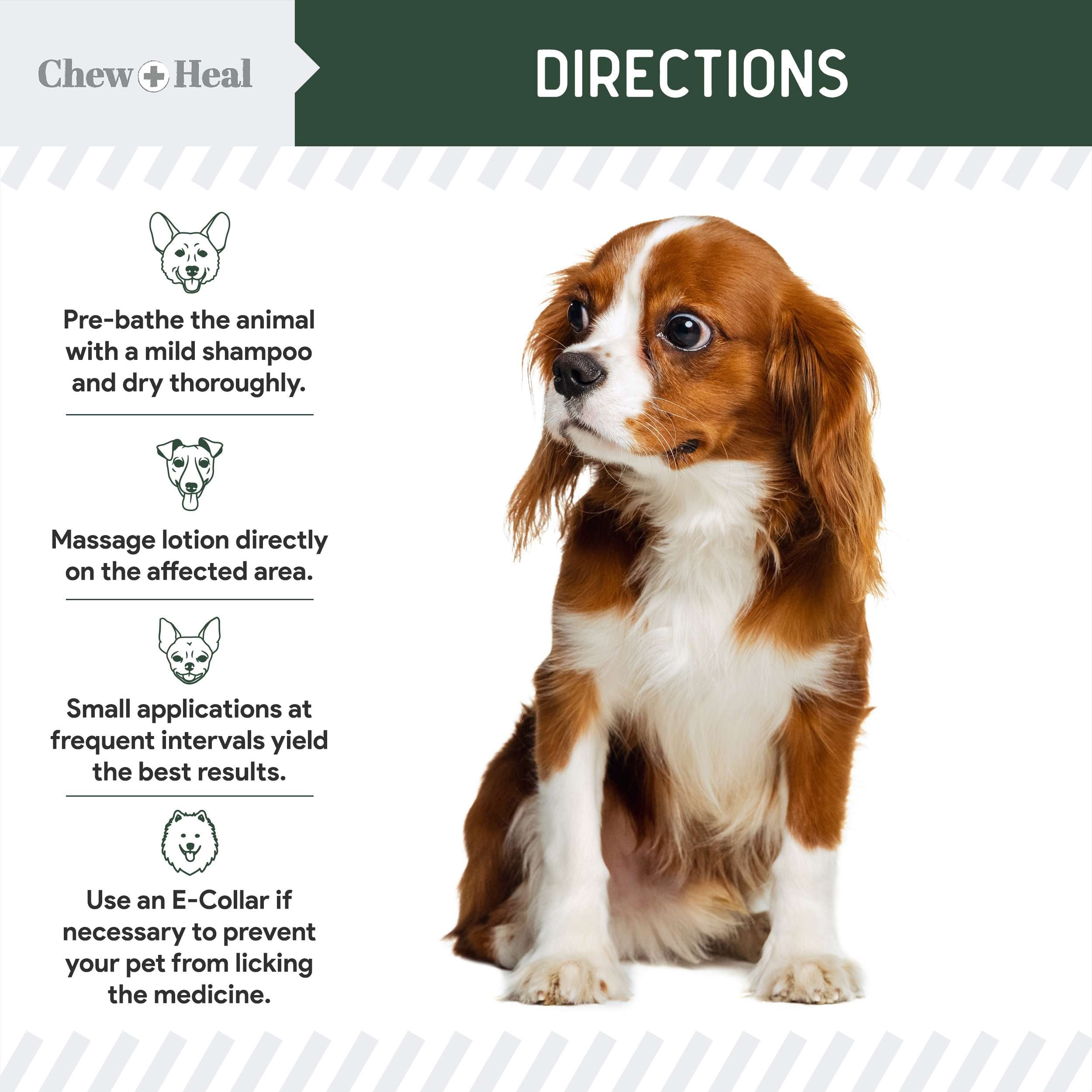Hydrocortisone Lotion for Dogs