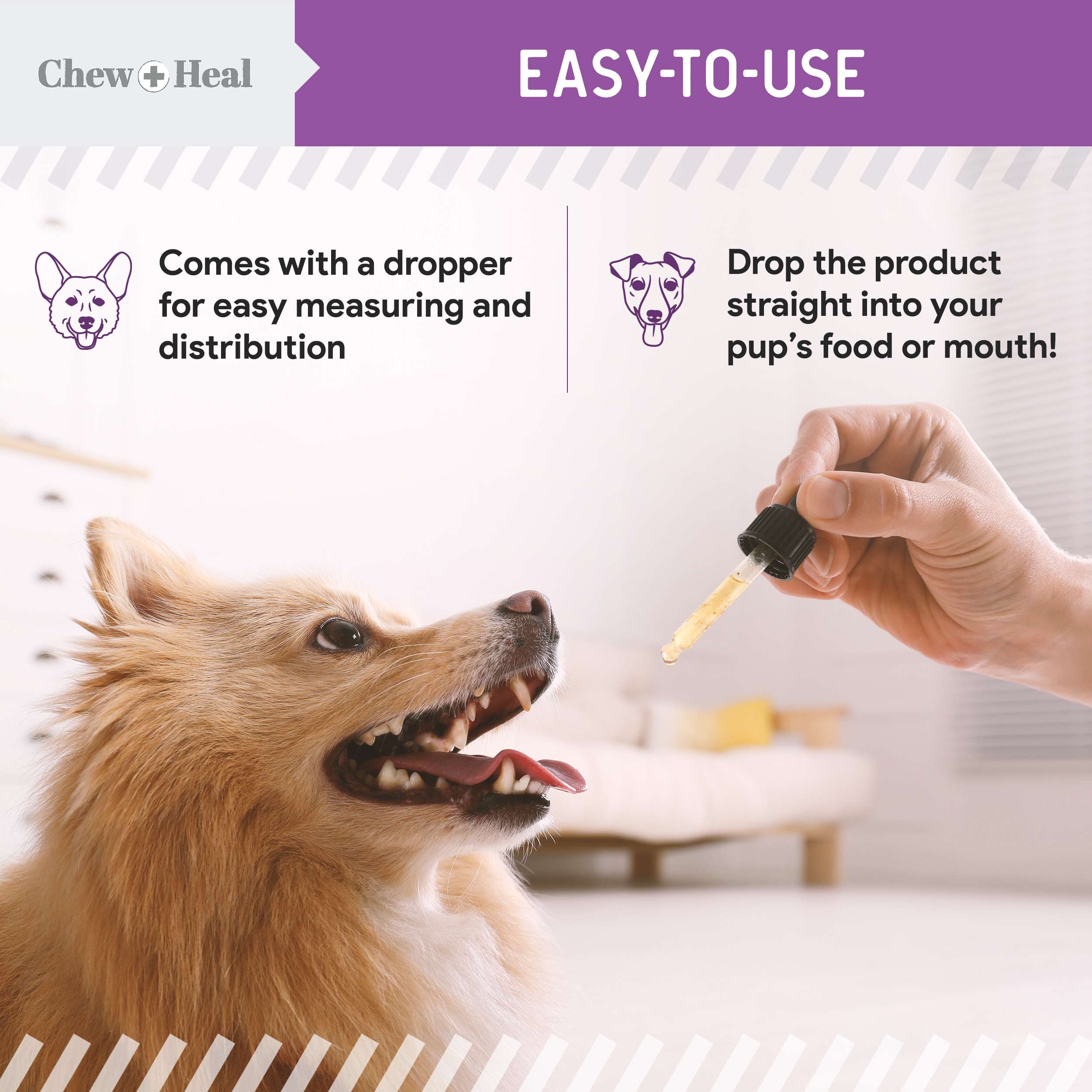 Milk Thistle Tincture with Moringa Oil & Salmon Oil Liquid Kidney & Liver Health Supplement for Dogs