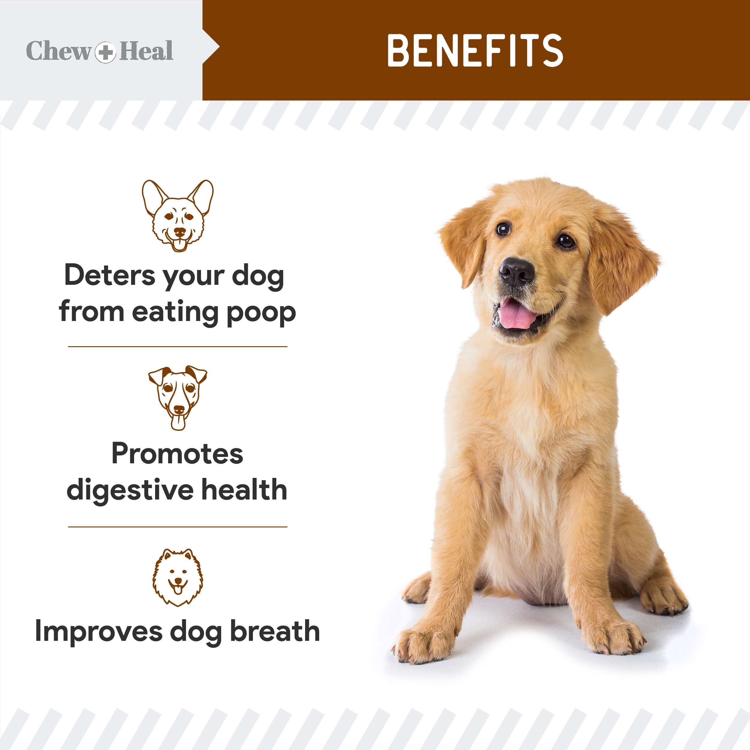 Stop The Poo Soft Chew Coprophagia & Digestive Supplement for Dogs