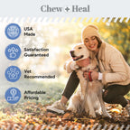 High-Potency Advanced Mobility Support Bacon Flavored Liquid Supplement for Senior Dogs
