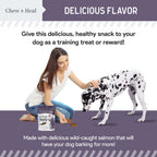 Senior Wild Alaskan Salmon Limited Ingredient Soft Jerky Dog Treats