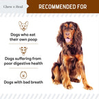 Stop The Poo Soft Chew Coprophagia & Digestive Supplement for Dogs