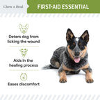 Liquid Bandage for Dogs