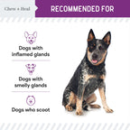 Stop the Scoot Anal Gland Support & Bowel Function Supplement for Dogs