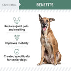 Senior Hip & Joint Dog Supplement