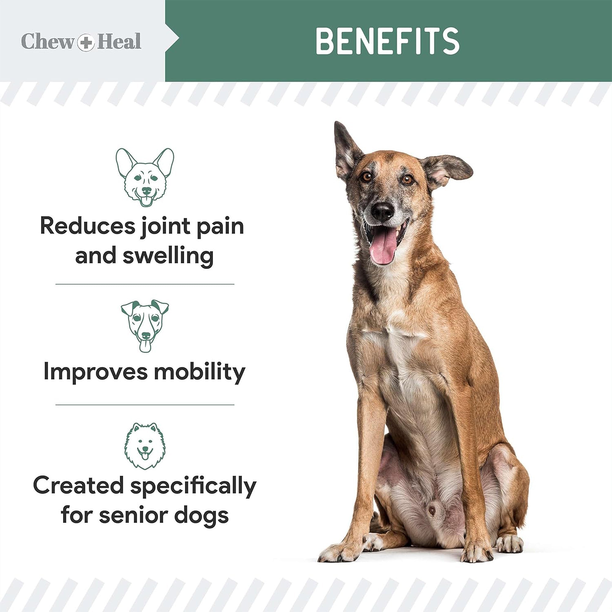 Senior Hip & Joint Dog Supplement